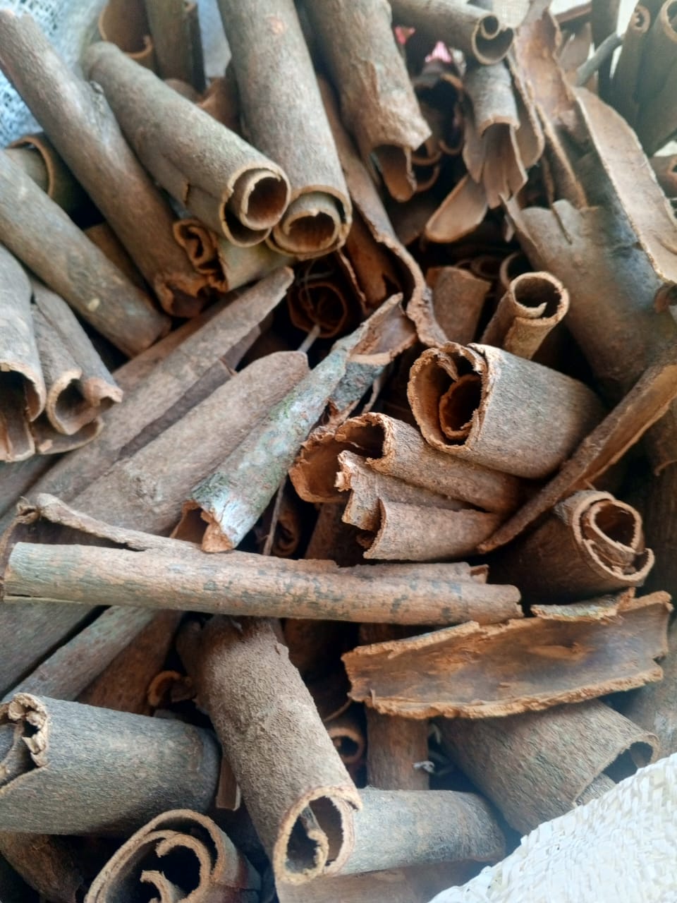 Cinnamon Sticks