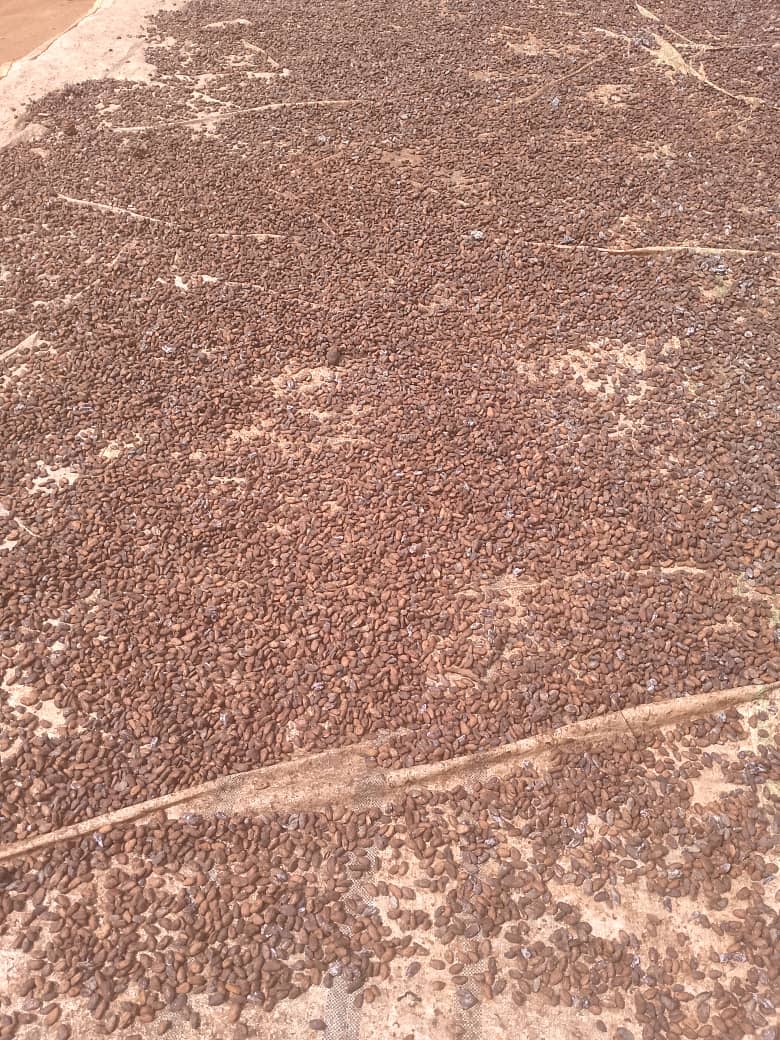 Ground Spices